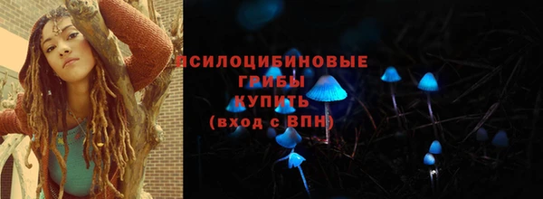 прущая мука Переславль-Залесский