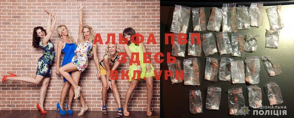 крисы Пересвет