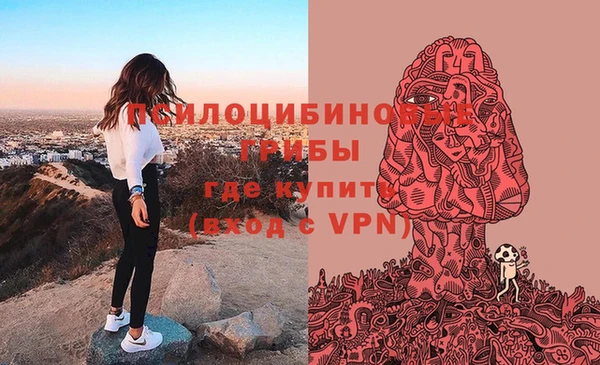 стаф Осинники