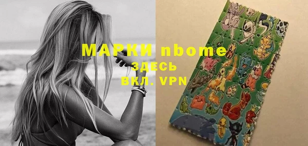 стаф Осинники