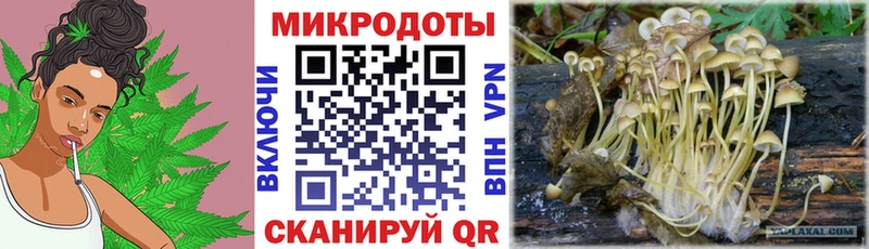 Галлюциногенные грибы GOLDEN TEACHER  как найти закладки  сайты даркнета состав  Игарка 